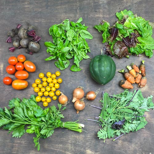 2020-csa-week-17-share