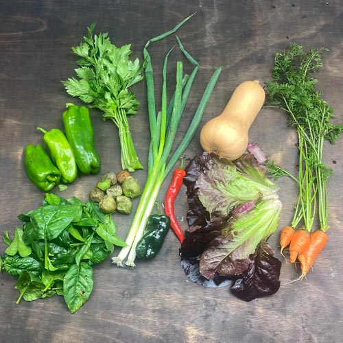 2020-csa-week-25-share