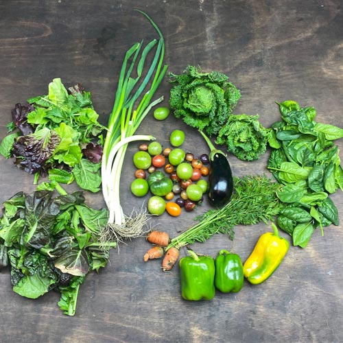 2020-csa-week-27-share