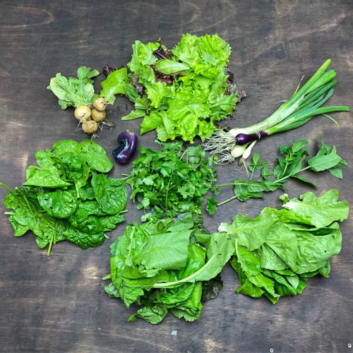 2020-csa-week-3-share