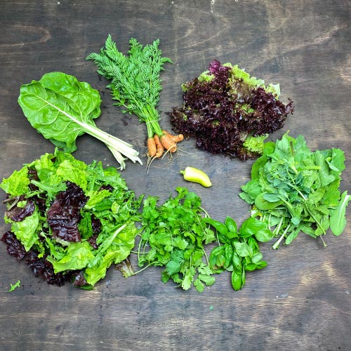 2020-csa-week-4-share