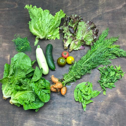 2020-csa-week-7-share