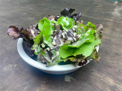 salad-with-homemade-thousand-island-dressing