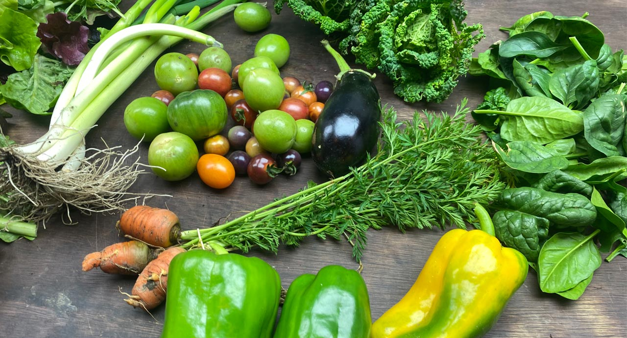Signup for Our CSA!